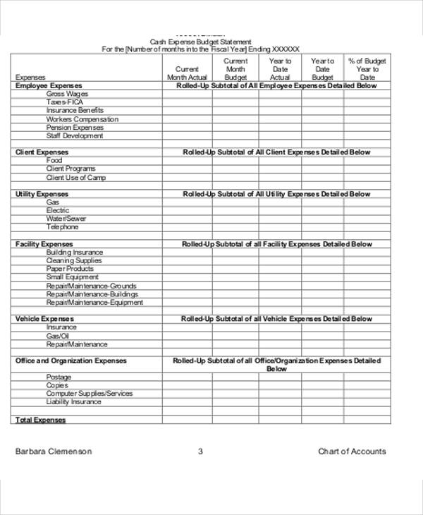 Nonprofit Budget Template Emmamcintyrephotography