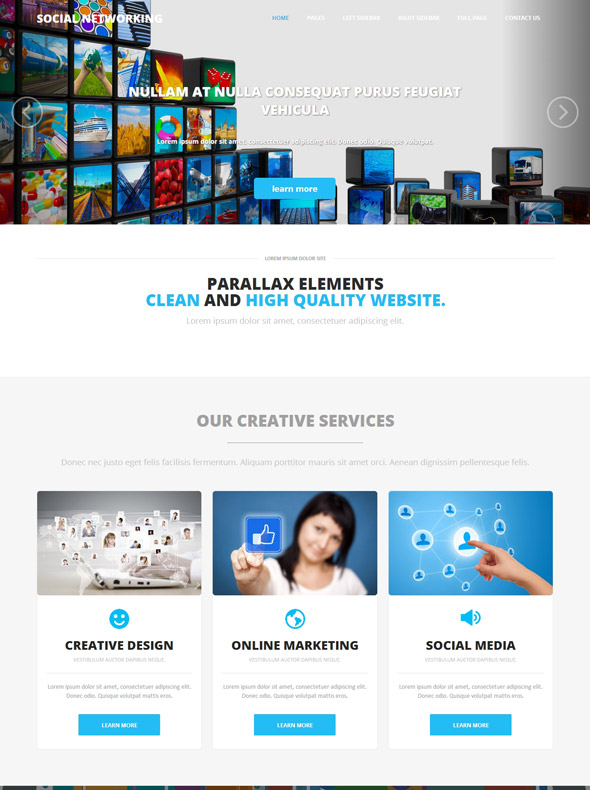 Social Networking HTML Template   Social Networking   Website 