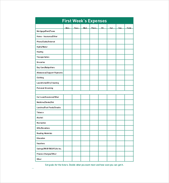 13+ Budget Tracking Templates   Free Word, Excel, PDF Documents 