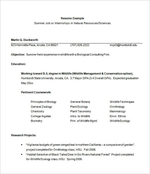 11+ Internship Resume Templates   PDF, DOC | Free & Premium Templates