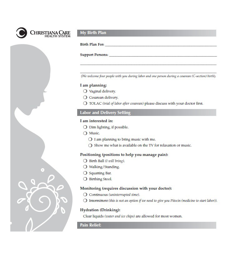 birth plan template download   Mini.mfagency.co