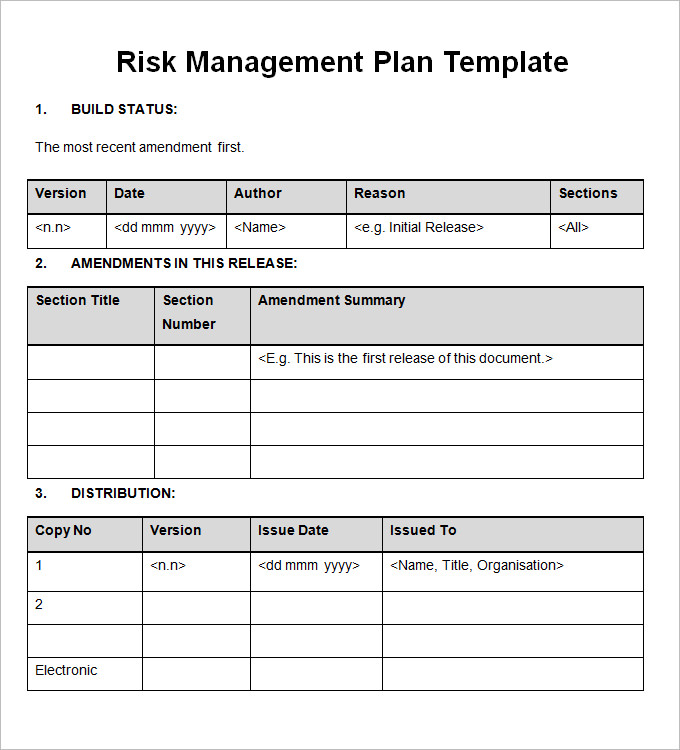 Risk Management Plan Template | bravebtr