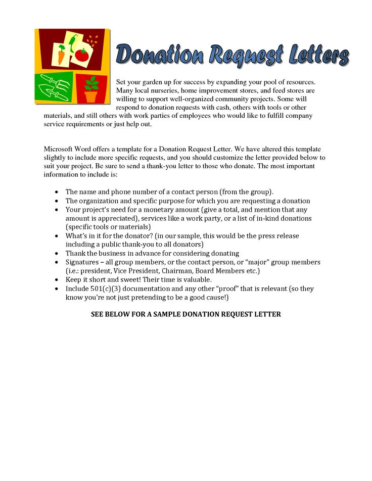 Sample Donation Request Letter For Food With Lucy Charity Sample 