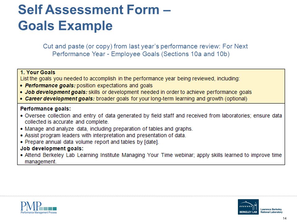 Self Performance Review Goals Examples Emmamcintyrephotography