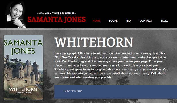 An easy to customize authors website template with informational 