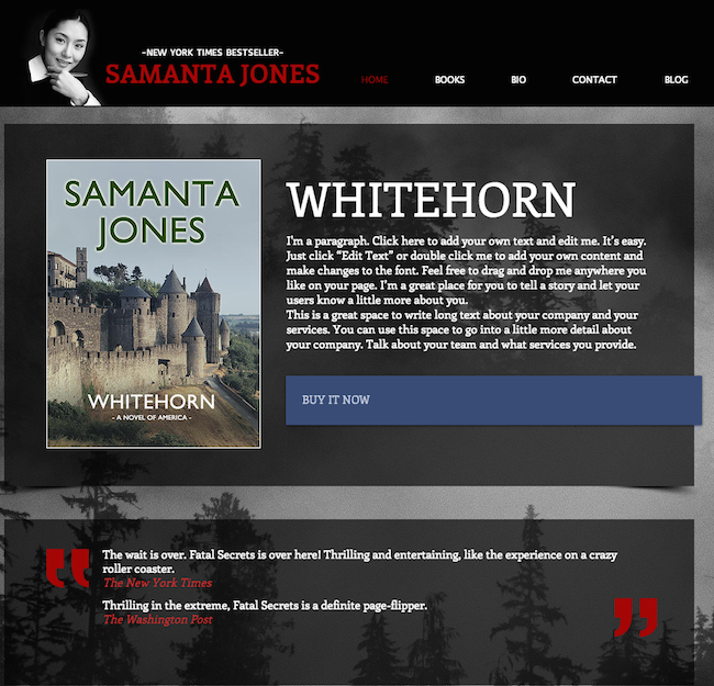 An easy to customize authors website template with informational 