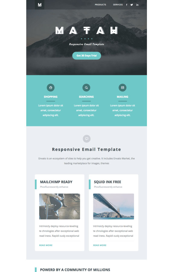 20+ Email Newsletter Templates   Free Sample, Example, Format 