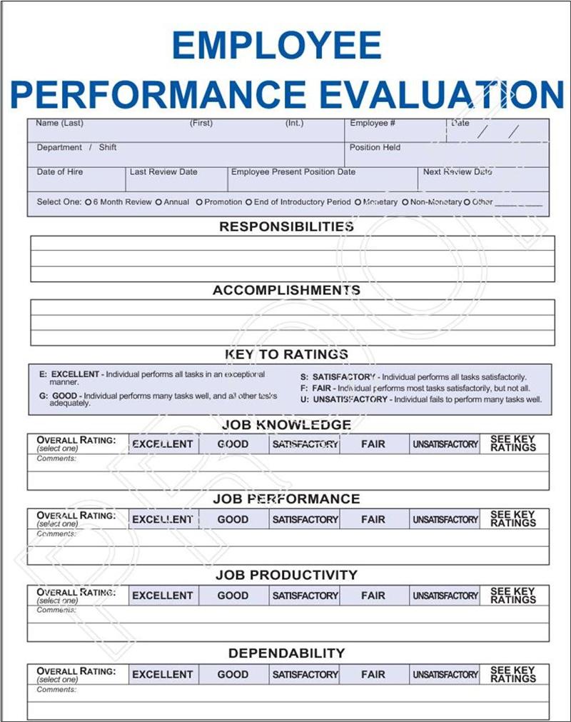 Free Easy Copy Basic Performance Self Evaluation from Formville