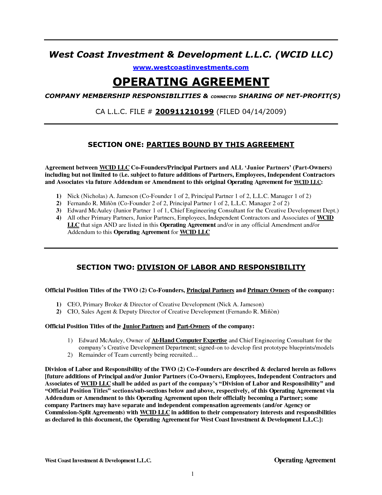 Operating Agreement Example texas llc operating agreement template 