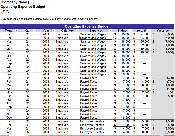 Free Annual Operating Budget Templates | InvoiceBerry